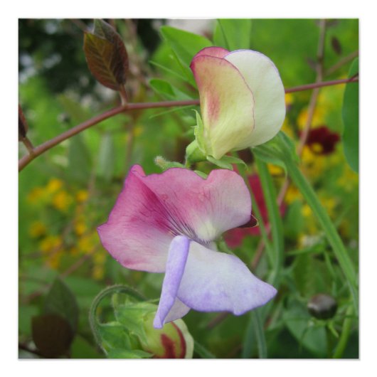 光沢のあるポスター ポスター (正面)