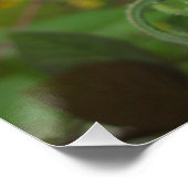 光沢のあるポスター ポスター (コーナー)