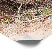 光沢のあるポスター ポスター (コーナー)