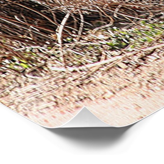 光沢のあるポスター ポスター (コーナー)