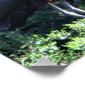 光沢イビスポスター ポスター (角)