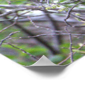 光沢イビスポスター ポスター (角)