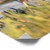 光沢イビスポスター ポスター (角)