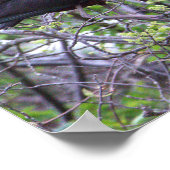 光沢イビスポスター ポスター (角)