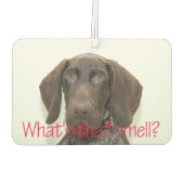 光沢グリズリー何の匂い カーエアーフレッシュナー (裏面)