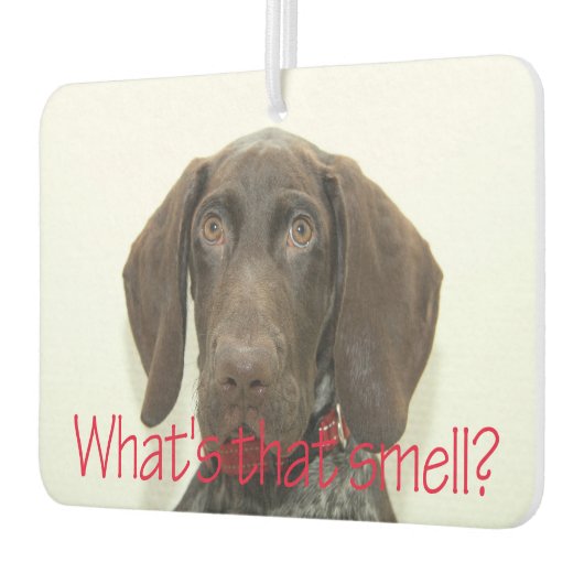 光沢グリズリー何の匂い カーエアーフレッシュナー (左)