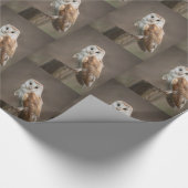 光沢ラッピング紙フクロウ ラッピングペーパー (角)