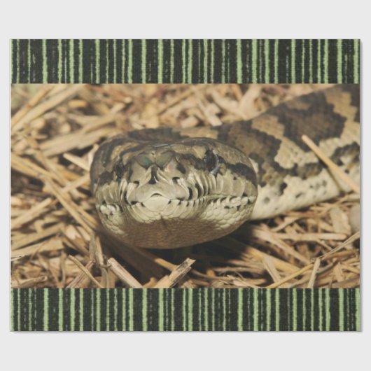 光沢ラッピング紙ヘビ ラッピングペーパー (フラット)