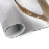 光沢ラッピング紙、綿 ラッピングペーパー (ロールコーナー)