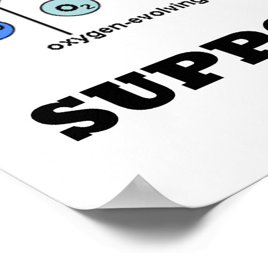 光減ら合成光依存性をサポートするスモッグ ポスター (角)