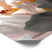 光源と影2 ポスター (角)