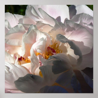 光源と影2 ポスター