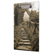 光源への経路 クリップボード (左)