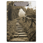 光源への経路 クリップボード (正面)