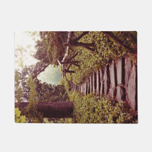 光源への経路 ドアマット (正面)