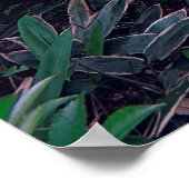 光等院のつくば盆地 ポスター (角)