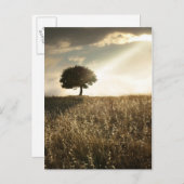 光線が劇的な空を横切る ポストカード (正面/裏面)