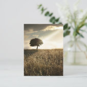 光線が劇的な空を横切る ポストカード (スタンド正面)