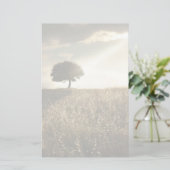 光線が劇的な空を横切る 便箋 (スタンド正面)