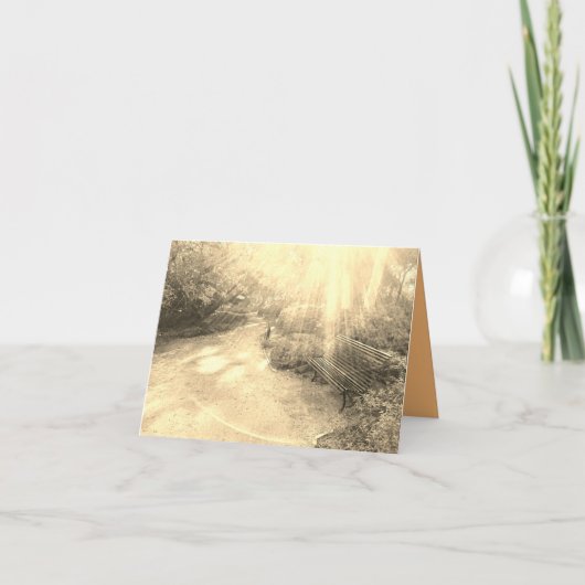 光線とベンチカード カード (正面)