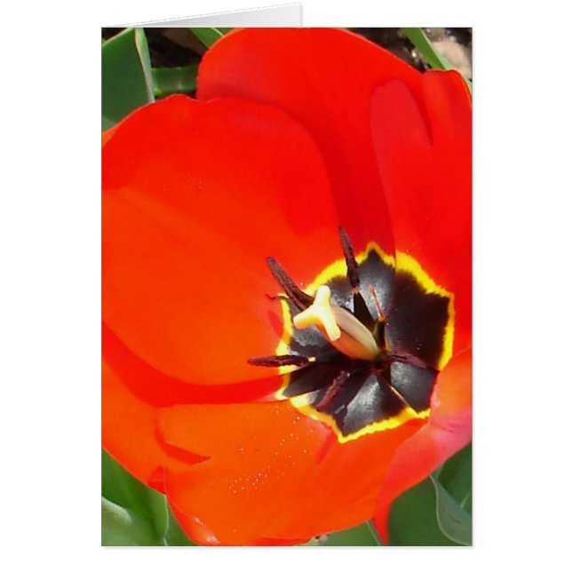 光線のキャッチ (正面)