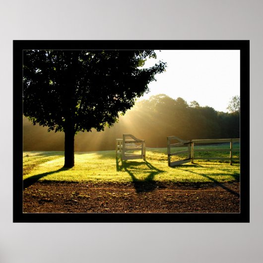 光線2 ポスター (正面)