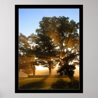 光線4 ポスター