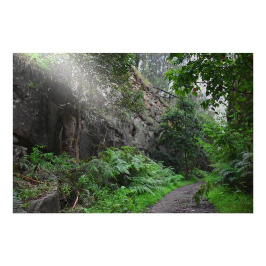 光線 フォトプリント            (正面)