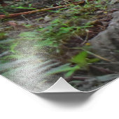 光線 フォトプリント            (角)