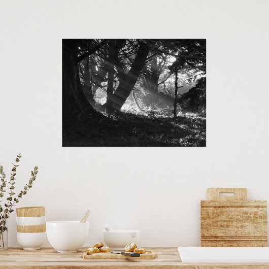 光線 ポスター (キッチン)