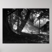 光線 ポスター (正面)