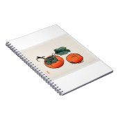 光能楳嶺の柿（1844年～1895年） ノートブック (右側)