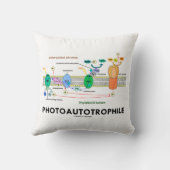 光自己向光合成 クッション (裏面)