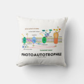 光自己向光合成 クッション (正面)