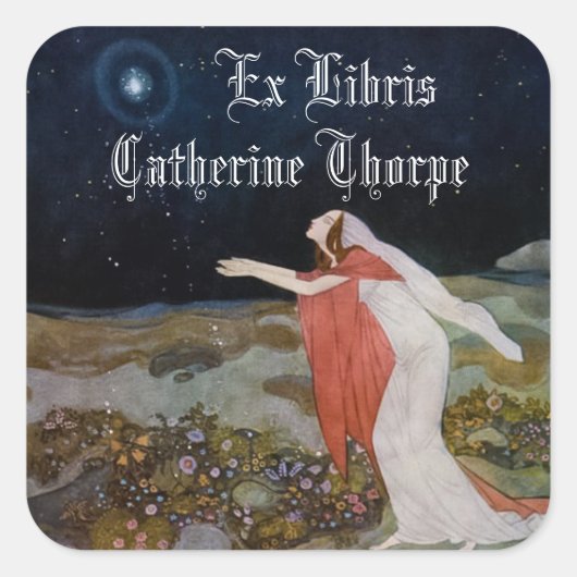 光蔵書票シールのステルス スクエアシール (正面)