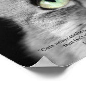 光輝性猫 ポスター (角)