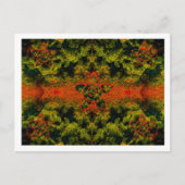 光違う灯 ポストカード (正面)