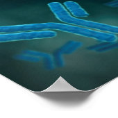 免疫グロブリンG分子の顕微鏡的見解。 ポスター (角)