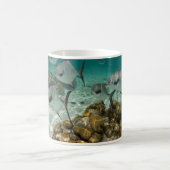 免許の魚の学校 コーヒーマグカップ (中央)