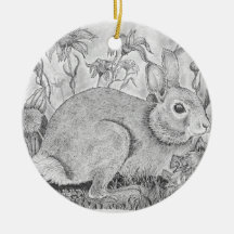 兎は野の花の間に眠る