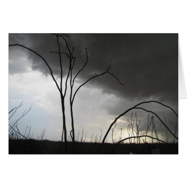 入って来る嵐 (正面横)