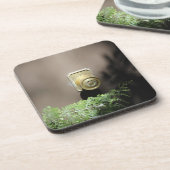 入って来! コースター (左側)