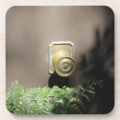 入って来! コースター (正面)