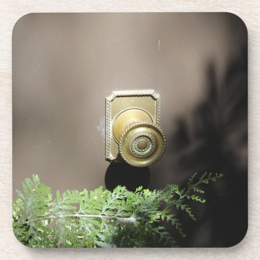 入って来! コースター (正面)