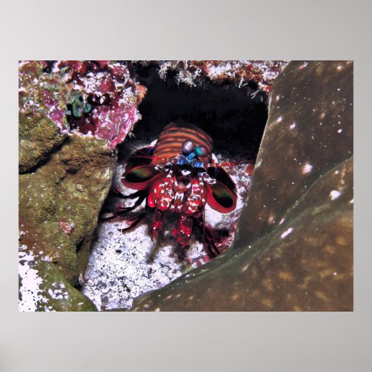 入り口のガード ポスター (正面)