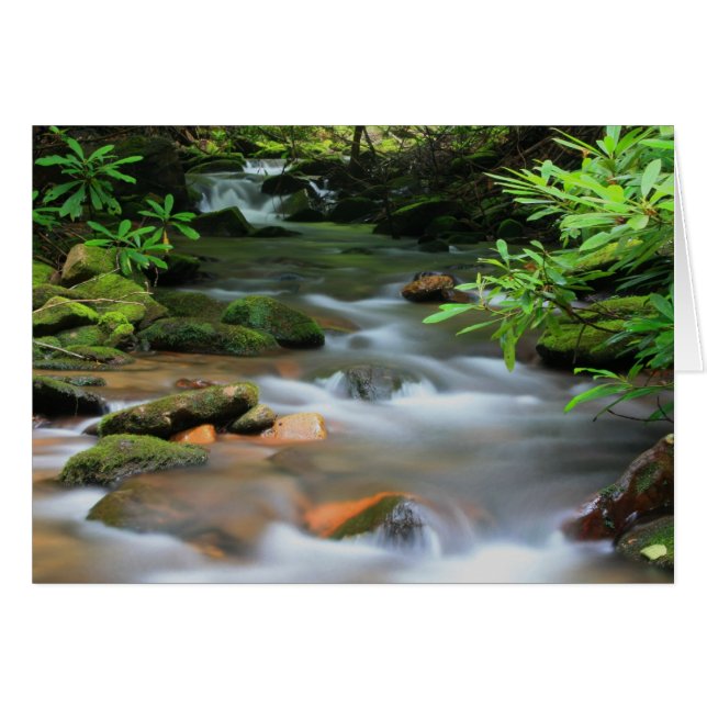 入り江カード (正面横)