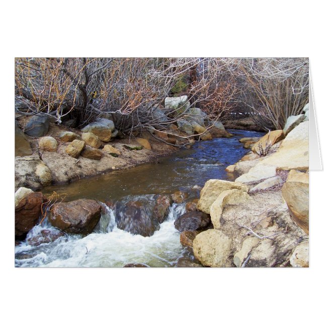 入り江 (正面横)