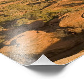 入る途中の風光明媚な冬の砂漠の風景 フォトプリント            (角)