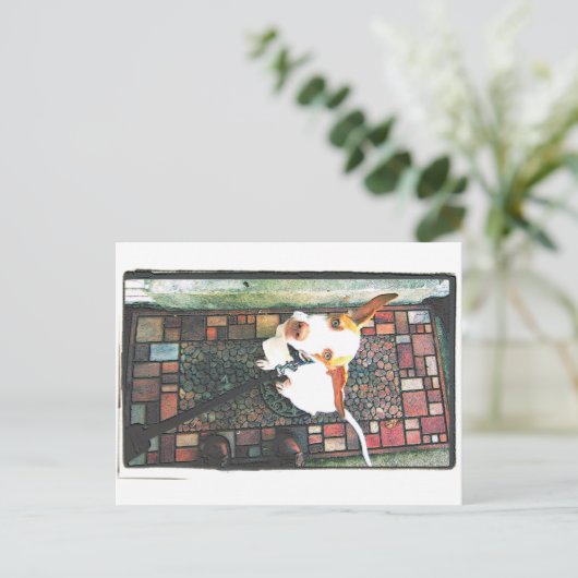 入れて ポストカード (スタンド正面)