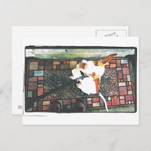 入れて ポストカード (正面/裏面)